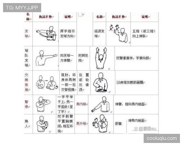 裁判手势规则解析：常见手势含义与判罚标准