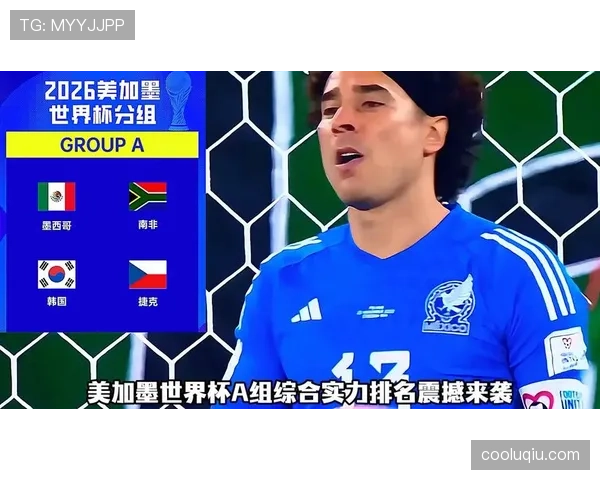 世界杯A组南非对手实力分析出炉 世界杯A组南非对手实力分析出炉