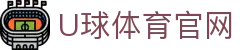 U球体育 APP 官网版 - 官方认证稳定版下载及安装指南